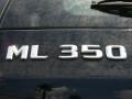 2004 Black Mercedes-Benz ML 350 4Matic  photo #9