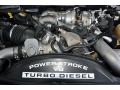 6.4L 32V Power Stroke Turbo Diesel V8 Engine for 2008 Ford F350 Super Duty FX4 Crew Cab 4x4 Dually #70311429