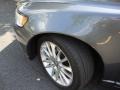 Titanium Grey Metallic - S40 2.4i Photo No. 4