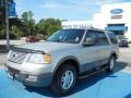 2004 Silver Birch Metallic Ford Expedition XLT  photo #1