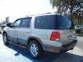 2004 Silver Birch Metallic Ford Expedition XLT  photo #3