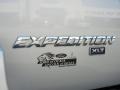 2004 Silver Birch Metallic Ford Expedition XLT  photo #9