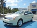 2011 Natural Neutral Metallic Ford Focus SEL Sedan  photo #1