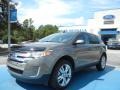 2013 Mineral Gray Metallic Ford Edge Limited  photo #1