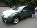 Cypress Green Pearl - Outback 2.5i Premium Photo No. 8
