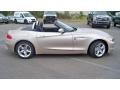 2009 Orion Silver Metallic BMW Z4 sDrive35i Roadster  photo #4