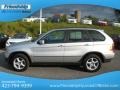 Titanium Silver Metallic - X5 3.0i Photo No. 2