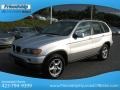 Titanium Silver Metallic - X5 3.0i Photo No. 3