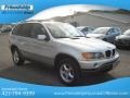 Titanium Silver Metallic - X5 3.0i Photo No. 5