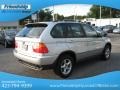 Titanium Silver Metallic - X5 3.0i Photo No. 7