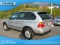 Titanium Silver Metallic - X5 3.0i Photo No. 9