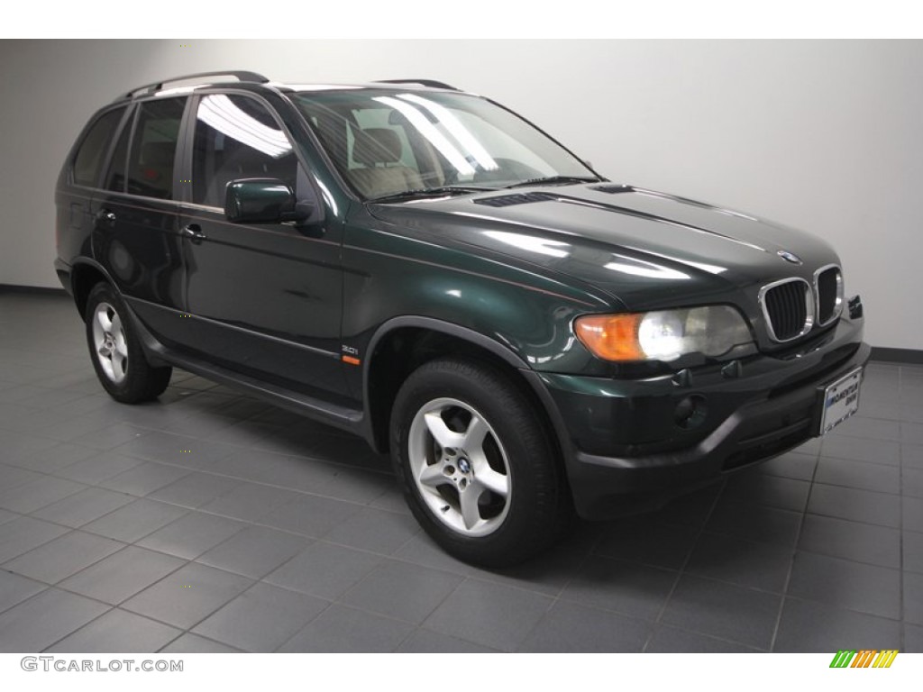 Oxford Green Metallic 2003 BMW X5 3.0i Exterior Photo #70319736