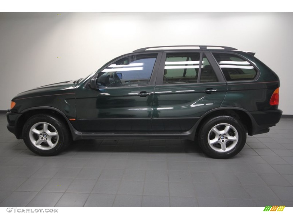 Oxford Green Metallic 2003 BMW X5 3.0i Exterior Photo #70319745