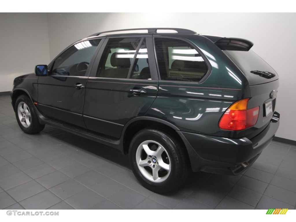 Oxford Green Metallic 2003 BMW X5 3.0i Exterior Photo #70319770