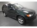 Oxford Green Metallic - X5 3.0i Photo No. 9