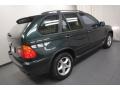 Oxford Green Metallic - X5 3.0i Photo No. 11