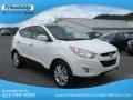 2013 Cotton White Hyundai Tucson GLS AWD  photo #5