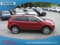 2013 Ruby Red Ford Edge SEL AWD  photo #5