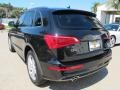 Phantom Black Pearl Effect - Q5 3.2 FSI quattro Photo No. 3