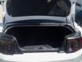2013 Ford Mustang Boss 302 Trunk