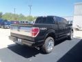 2012 Tuxedo Black Metallic Ford F150 Platinum SuperCrew 4x4  photo #6