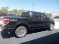 2012 Tuxedo Black Metallic Ford F150 Platinum SuperCrew 4x4  photo #7