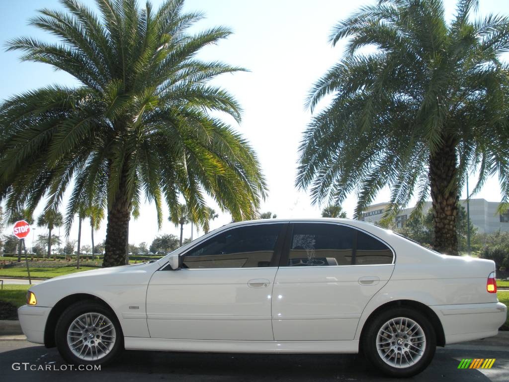 Alpine White BMW 5 Series