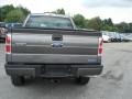 Sterling Gray Metallic - F150 STX SuperCab 4x4 Photo No. 7