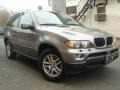 Kalahari Beige Metallic - X5 3.0i Photo No. 2