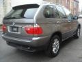 Kalahari Beige Metallic - X5 3.0i Photo No. 4