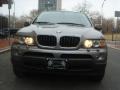 Kalahari Beige Metallic - X5 3.0i Photo No. 9