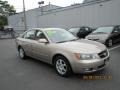 Golden Beige - Sonata GLS Photo No. 3