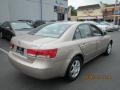 Golden Beige - Sonata GLS Photo No. 5