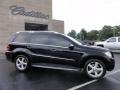 Obsidian Black Metallic - GL 450 4Matic Photo No. 8