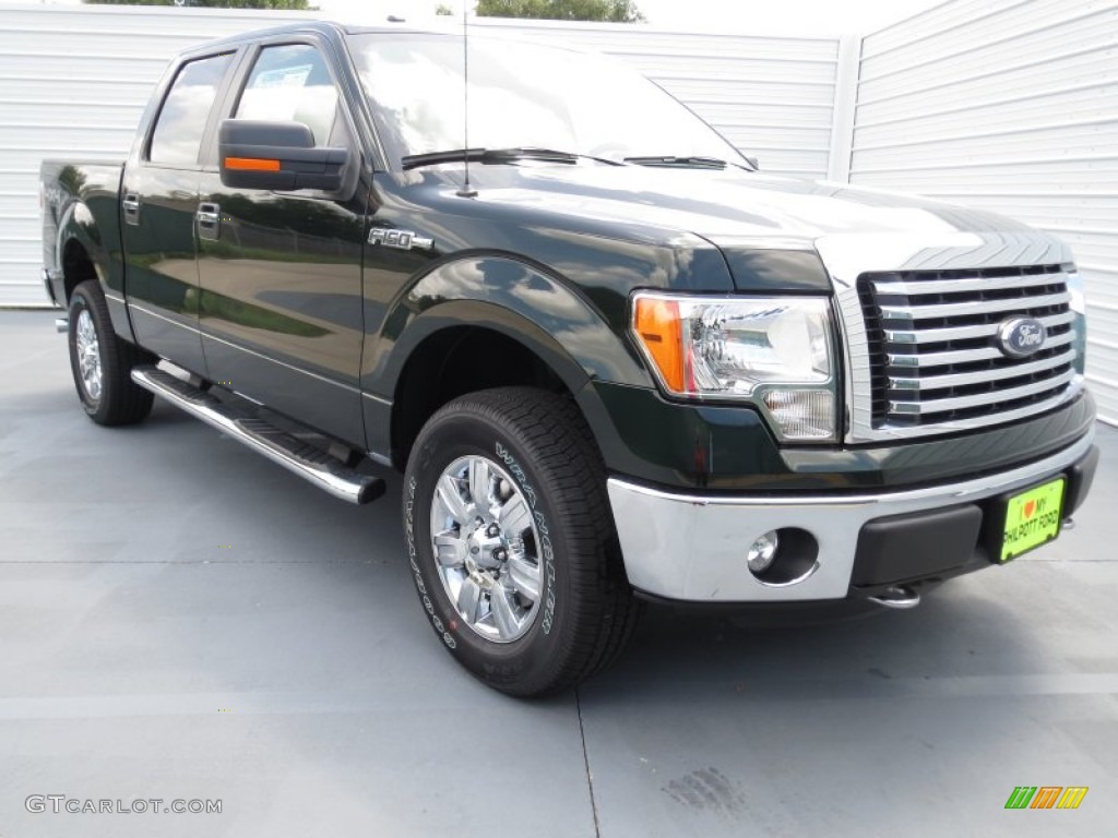 2012 F150 XLT SuperCrew 4x4 - Green Gem Metallic / Steel Gray photo #1