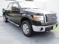 2012 Green Gem Metallic Ford F150 XLT SuperCrew 4x4  photo #1