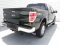 2012 Green Gem Metallic Ford F150 XLT SuperCrew 4x4  photo #3