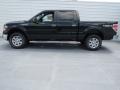 2012 Green Gem Metallic Ford F150 XLT SuperCrew 4x4  photo #5