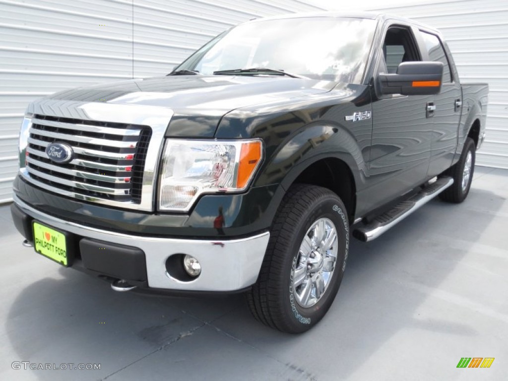 2012 F150 XLT SuperCrew 4x4 - Green Gem Metallic / Steel Gray photo #6