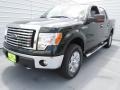 2012 Green Gem Metallic Ford F150 XLT SuperCrew 4x4  photo #6