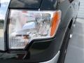 2012 Green Gem Metallic Ford F150 XLT SuperCrew 4x4  photo #8