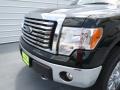 2012 Green Gem Metallic Ford F150 XLT SuperCrew 4x4  photo #9