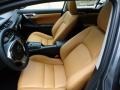 2012 Nebula Gray Pearl Lexus CT 200h Hybrid Premium  photo #10