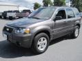 2006 Dark Shadow Grey Metallic Ford Escape Hybrid 4WD  photo #3