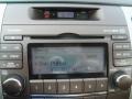 Powder White Pearl - Sonata GLS V6 Photo No. 13