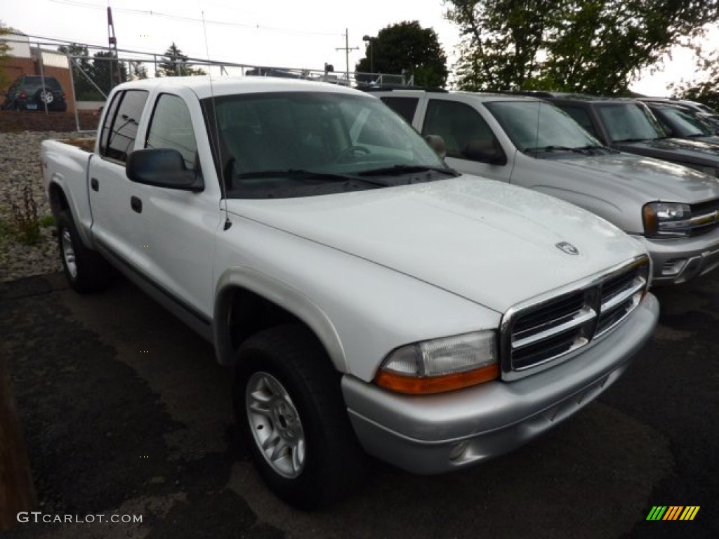 2004 Dakota SLT Quad Cab 4x4 - Bright White / Dark Slate Gray photo #1