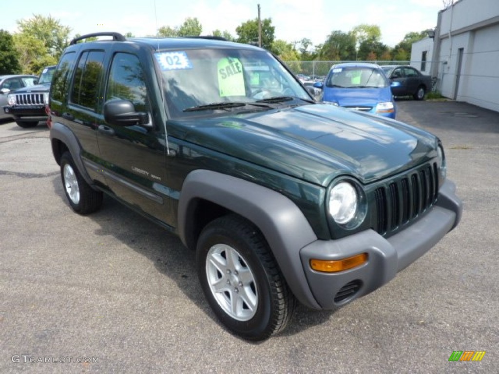 2002 Liberty Sport 4x4 - Shale Green Metallic / Dark Slate Gray photo #1