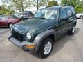 2002 Shale Green Metallic Jeep Liberty Sport 4x4  photo #3