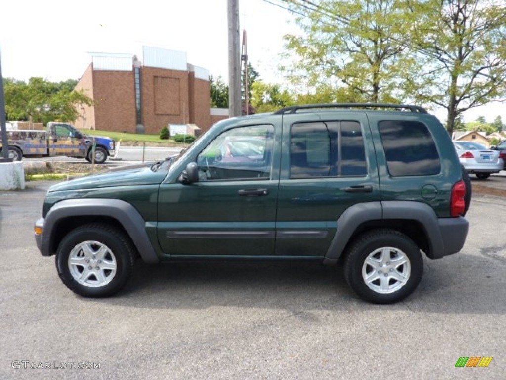 2002 Liberty Sport 4x4 - Shale Green Metallic / Dark Slate Gray photo #4