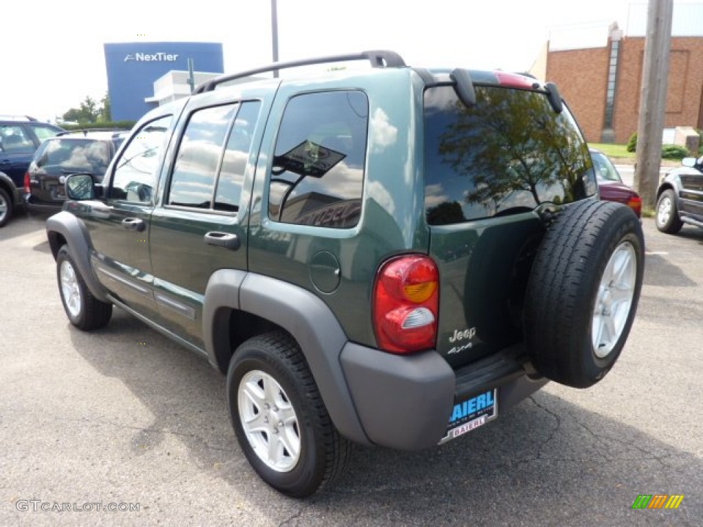 2002 Liberty Sport 4x4 - Shale Green Metallic / Dark Slate Gray photo #5